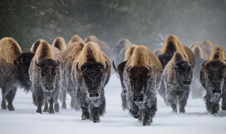 深圳市盈信国际旅行社有限公司轮播图1